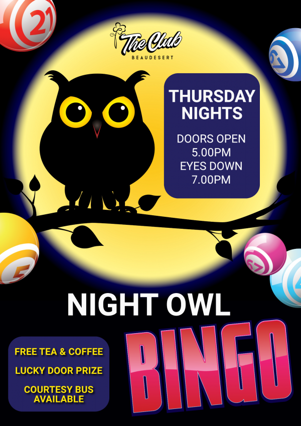 Night Owl Bingo